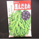 【国内採種/固定種】黒えだまめ〔黒錦枝豆〕30ml約55粒 畑懐〔はふう〕の種【メール便可】