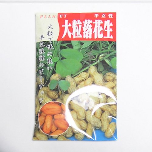 在来種/固定種/野菜のタネ「大粒落花生50ml約35粒」畑懐〔はふう〕の種【メール便可】