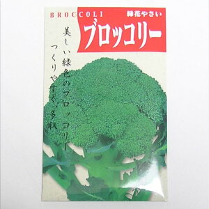 在来種/固定種/野菜のタネ「ブロッコリー(ドシコ)2ml(約450粒）」畑懐〔はふう〕の種【メール便可】