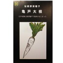 江戸時代から続く在来種。プランター栽培可。伝統野菜の種「亀戸大根」5ml　畑懐〔はふう〕