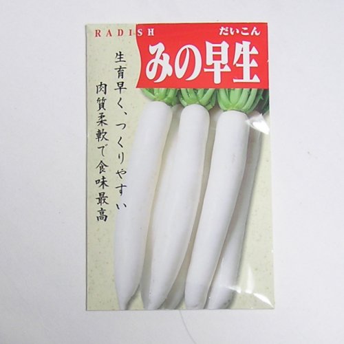 【固定種】みの早生大根5ml 畑懐〔はふう〕の種【メール便可】