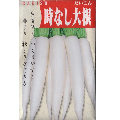 在来種/固定種/野菜のタネ「時なし大根5ml(約350粒）」畑懐〔はふう〕の種【メール便可】