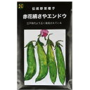 在来種/固定種/野菜のタネ「赤花絹莢エンドウ（つるなし）15ml(約60粒）」畑懐〔はふう〕の種