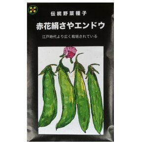 在来種/固定種/野菜のタネ「赤花絹莢エンドウ（つるなし）15ml(約60粒）」畑懐〔はふう〕の種【メール便可】