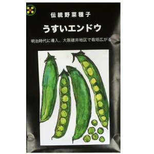 在来種/固定種/野菜のタネ「うすいエンドウ30ml(約60粒）」畑懐〔はふう〕の種【メール便可】