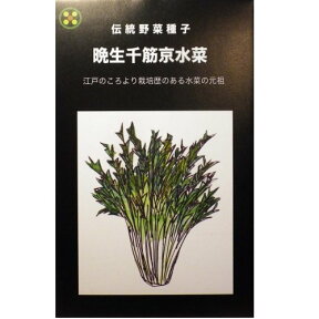 在来種/固定種/野菜のタネ「晩生千筋京水菜5ml(約1500粒）」畑懐〔はふう〕の種【メール便可】