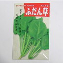 【固定種】ふだん草の種50ml(約450粒) 畑懐〔はふう〕の種【メール便可】