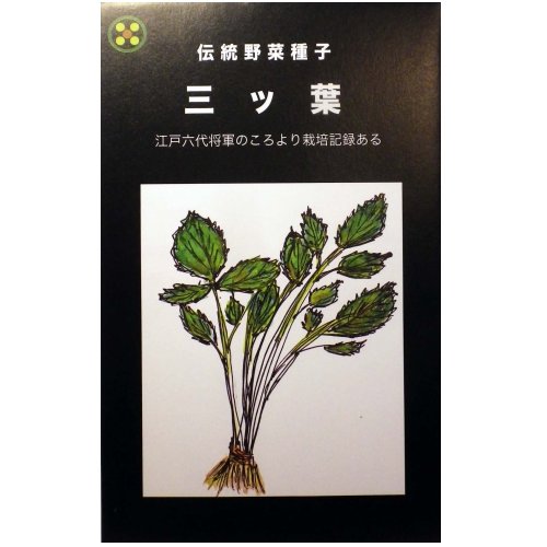 在来種/固定種/野菜のタネ「三ツ葉5ml(約1000粒）」畑懐〔はふう〕の種【メール便可】