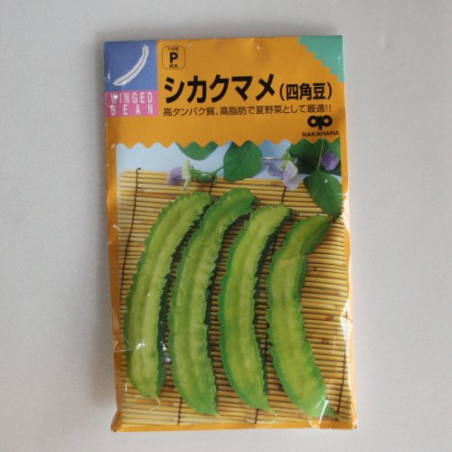 Rakuten - 【国内採種/固定種】四角豆10ml約20粒　畑懐〔はふう〕の種【メール便可】