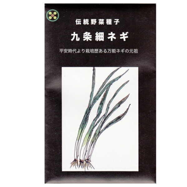 在来種/固定種/野菜のタネ「九条細ネギ(葉ねぎ)7ml(約1000粒）」畑懐〔はふう〕の種【メール便可】