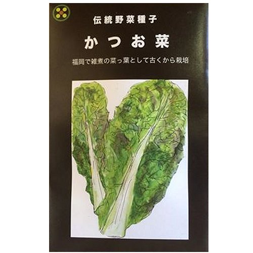 在来種/固定種/野菜のタネ「かつお菜5ml(約1400粒）」畑懐〔はふう〕の種【メール便可】