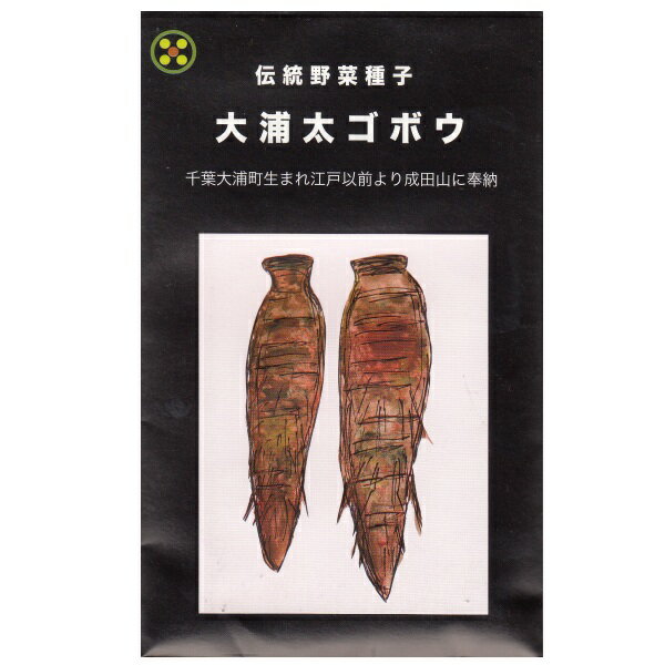 在来種/固定種/野菜のタネ「大浦太ゴボウ8ml(約350粒）」畑懐〔はふう〕の種【メール便可】