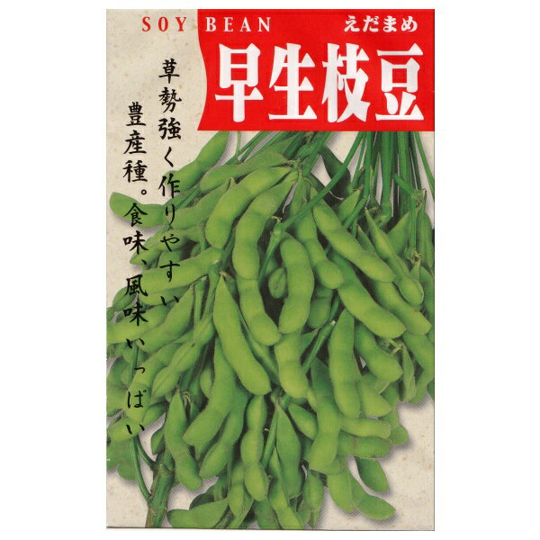 在来種/固定種/野菜のタネ「早生枝豆〔白老〕50ml約90粒」畑懐〔はふう〕の種【メール便可】