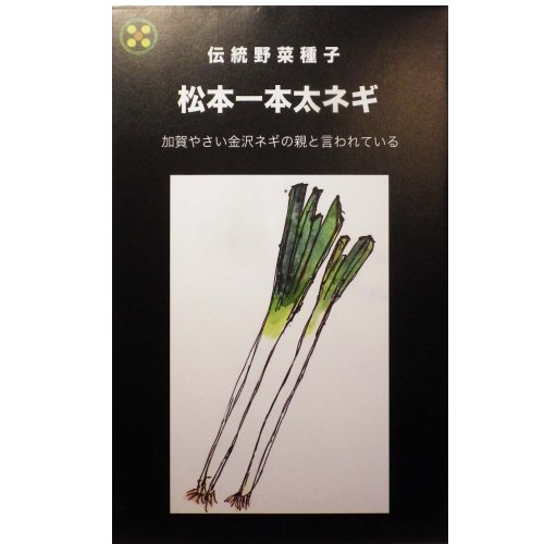 在来種/固定種/野菜のタネ 松本一本太ネギ5ml 約700粒 畑懐〔はふう〕の種【メール便可】