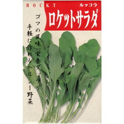 在来種/固定種/野菜のタネ「ルッコラ3ml(約1200粒）」畑懐〔はふう〕の種【メール便可】