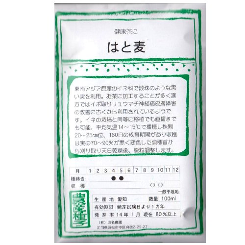 在来種/固定種/野菜のタネ「はと麦100ml約350粒」畑懐〔はふう〕の種【メール便可】