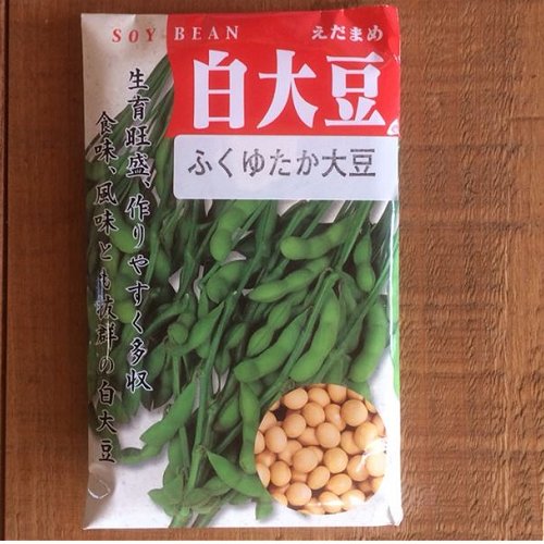 在来種/固定種/野菜のタネ「ふくゆたか白大豆80ml160粒」畑懐〔はふう〕の種【メール便可】