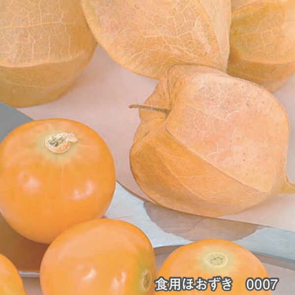 食用ほおずきのタネ約30粒入り　無農薬・無化学肥料・固定種 たねの森【メール便可】