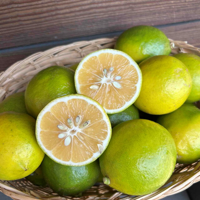 有機レモン500g (4個前後) 熊本県 / 高岡オレンジ園