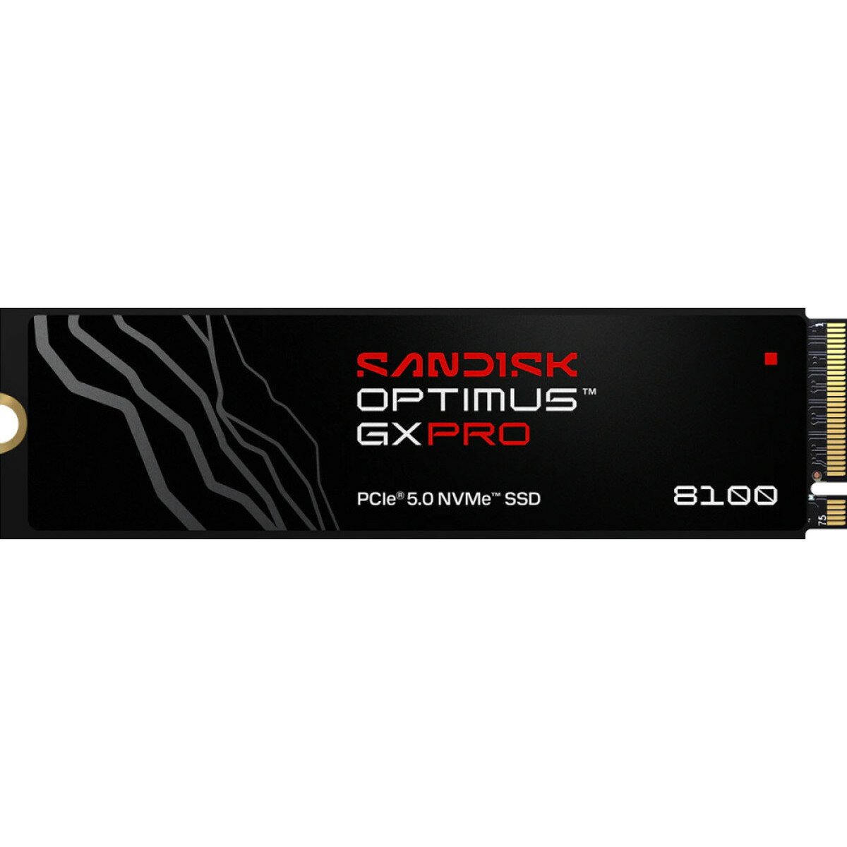 【国内正規品】SanDisk (サンディスク) Optimus GX PRO 8100 NVMe™ SSD 2TB SDSP82200TAN-000E0