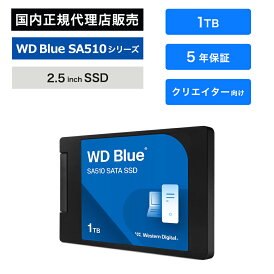 SanDisk (サンディスク) WD Blue SA510 SSD 1TB 内蔵SSD 520MB/s シーケンシャル書き込み 560MB/s シーケンシャル読み取り SATA III 2.5インチ WDS100T3B0A