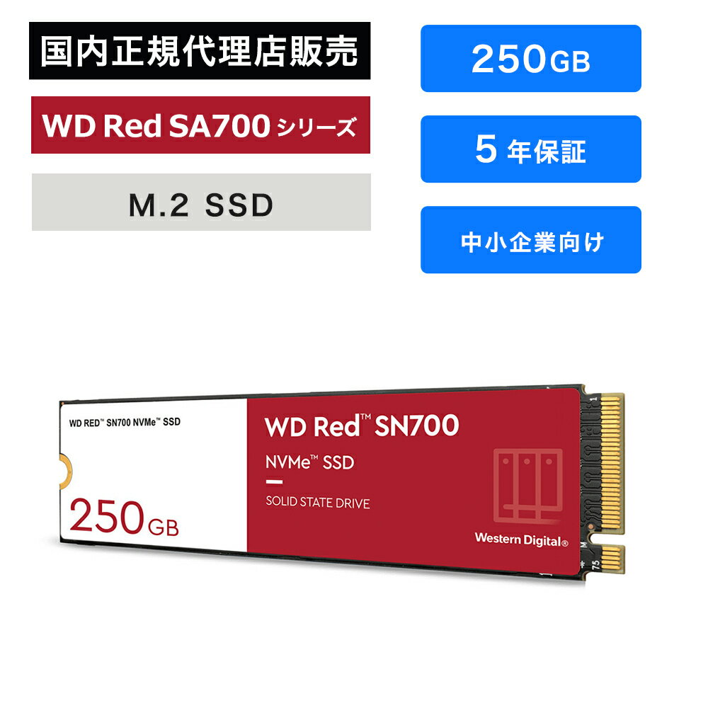 Western Digital (ウエスタンデジタル) WD Red SN700 SSD 250GB WDS250G1R0C