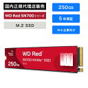 SanDisk (サンディスク) WD Red SN700 SSD 250GB WDS250G1R0C(2)