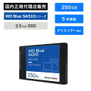 Western Digital (ウエスタンデジタル) WD Blue SA510 SSD 250GB WDS250G3B0A