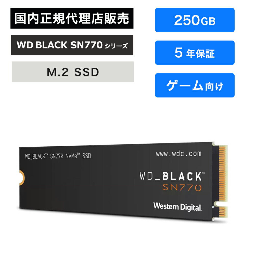 Western Digital (ウエスタンデジタル) WD_BLACK SN770 SSD 250GB WDS250G3X0E
