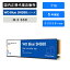 Western Digital (ǥ) WD Blue SN580 SSD 1TB WDS100T3B0E