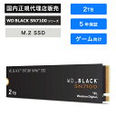 SanDisk (サンディスク) WD_BLACK SN7100 SS...(2)