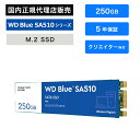Western Digital (ウエスタンデジタル) WD Blue SA510 SSD 250GB WDS250G3B0B
