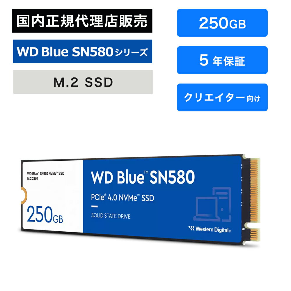 Western Digital (ウエスタンデジタル) WD Blue SN580 SSD 250GB WDS250G3B0E