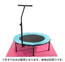 ジャンポリン用手すり CH-20 (ジャンポリン本体は別売り) 中旺ヘルス 【個人宅への配送は送料別途お見積り】【軒先渡し】【代引き不可】
