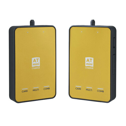 ��ƣĶû�� ATmini CHARGE ����ǥ�����˥󥰵��� ���������졼 ���������������