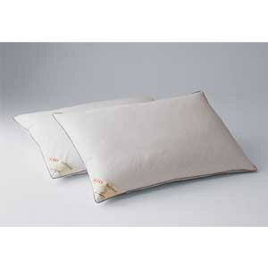 ���ܥ٥å� �ԥ����ե������ǥ奢�� �� 50787