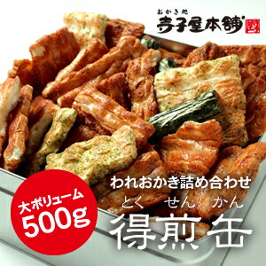 【通販限定】 寺子屋本舗 こわれせんべい 特煎缶（とくせんかん） 缶入り 500g