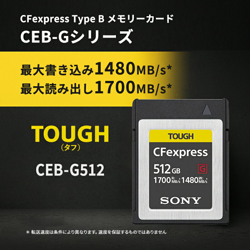[4/15���� ����100%�ݥ���ȥХå�] CFexpress Type B ���꡼������ 512GB SONY ���ˡ� CEB-G512