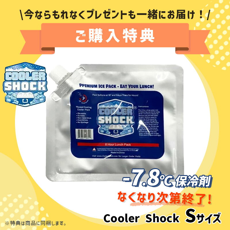 [5/15限定 最大100%ポイントバック] クーラーバケット ダークグレー(H) 9.5L PEACO...