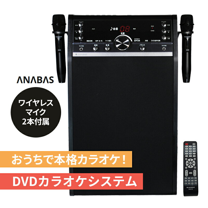 DVDカラオケシステム (ワイヤレスマイク 2本付属) 太知 タイチ DVD-K110