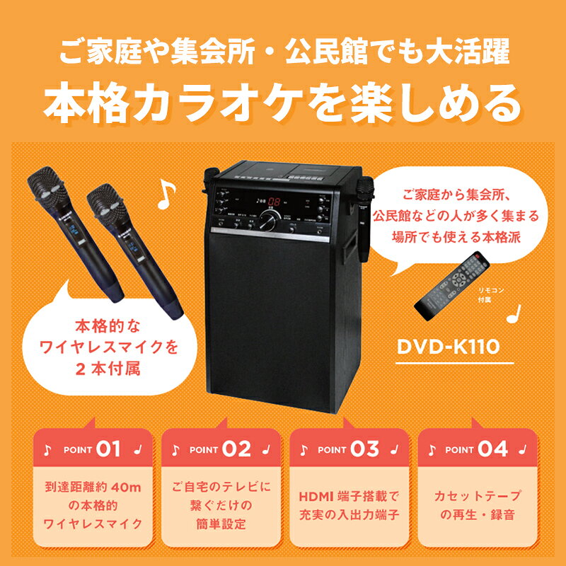 あっと!テラフィ 楽天市場店のDVDカラオケシステム (ワイヤレスマイク 2本付属) 太知 タイチ DVD-K110｜アングル3
