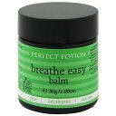 p[tFNg|[V PERFECT POTION u[Y C[W[o[ 30g yϕiERX {fBPA Sgpz