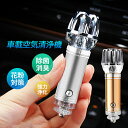 空気清浄機 小型 車用 マイナスイオン発生器 LEDアンビエントライト 車載 消臭 除菌 カビ取り 静音 シガーソケット給電 車中泊用 脱臭 PM2.5 タバコ...