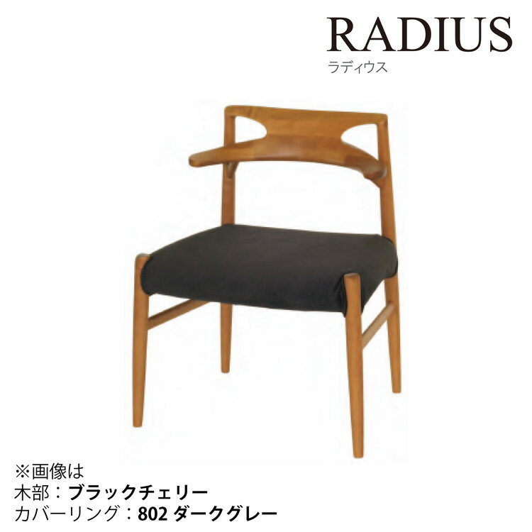 Ωڹ RADIUS HA WNʥ֥åʥåȡ ǥ ӥ ȶ ƥꥢ ػ ߷ ̵Բġ