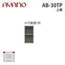 綾野製作所 上置 幅30cm AB-30TP バレッタ BALLETTA リビング家具【納期約5週間】(3)