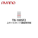 【関東開梱設置無料】綾野製作所 上キャビネット連結用天板 奥450タイプ 幅100cm TN-100SF2 スタイン STEIN キッチン収納 家具【納期約5週間】