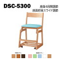 浜本工芸 デスクチェア 学習椅子 学習イス DSC-5300 おしゃれ シンプル キャスターあり 小学生 中学生 高校生 着座姿勢 高さ調節 抗菌 防汚加工 ◆...