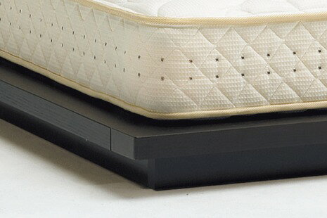ドリームベッド ベッドフレーム エコラル278 クイーン1/Q1 [Fランク](マットレス別売り) ECORAL278 dream bed 寝具 [2]