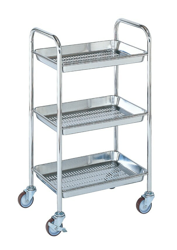 サカエ SAKAE / ステンレス　トレーワゴン　TW-1MSS / 耐荷重：50kg / W490×D345×H865mm【代金引換対象外】【配送時間指定不可】【サカエの大型商品は車上渡しです／個人宅配送不可】