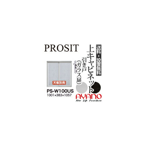 ڴ̵ۡڳ̵۰ / ˥åȼê PROSIT ץå / 奭ӥͥå  饹 / PS-W100US PS-D100USԲġ